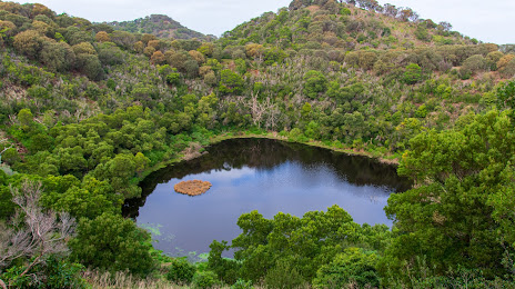 Tower Hill State Game Reserve, وارنامبول