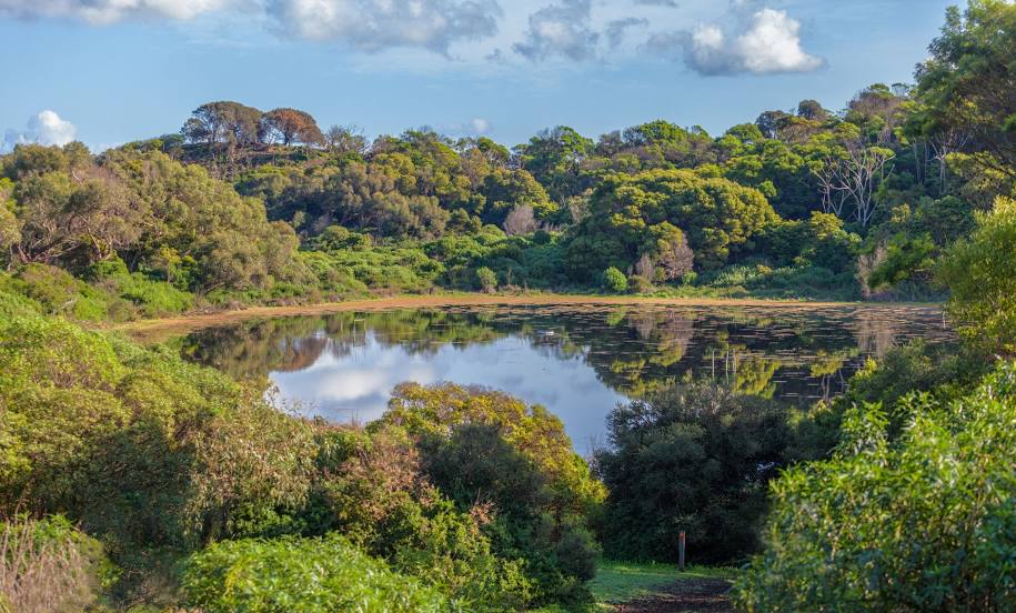 Tower Hill Wildlife Reserve, وارنامبول