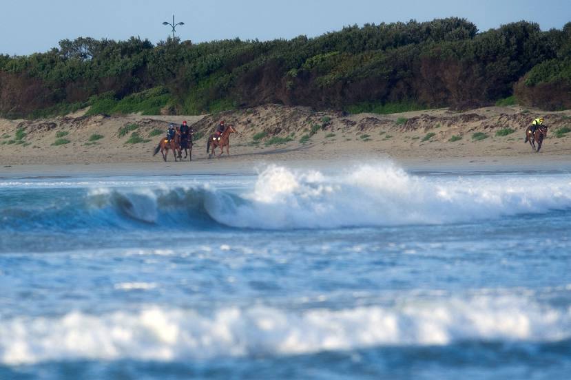 Warrnambool Bay, 