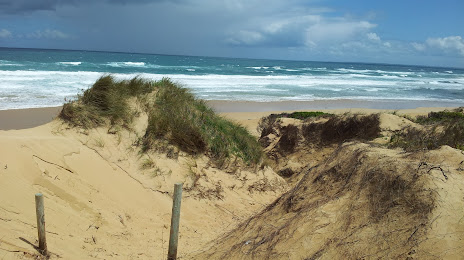 Levys Point Coastal Reserve, 