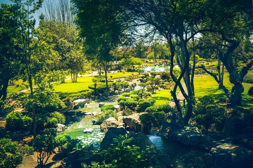 Japonés Jardin del Corazón Park, 라세레나