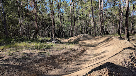 Nerang State Forest, Nerang