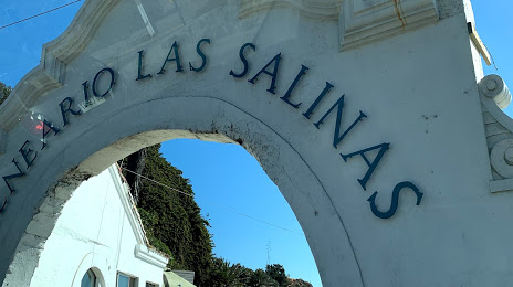 Playa Las Salinas, 