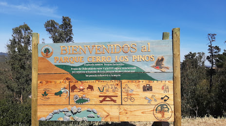 Cerro Los Pinos Natural Park (Parque Natural Cerro Los Pinos), 