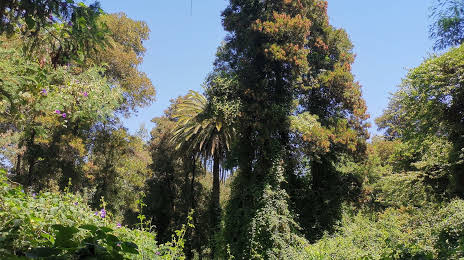 Lantaño Park, Chillán