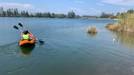 Esmeralda lagoon, Melipilla