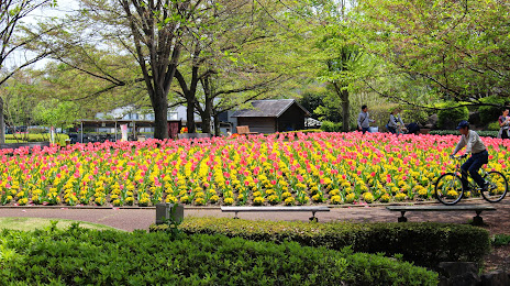 Omiya Hananooka Norin Garden, Ageo