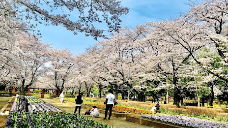 Shiroyama Park, 