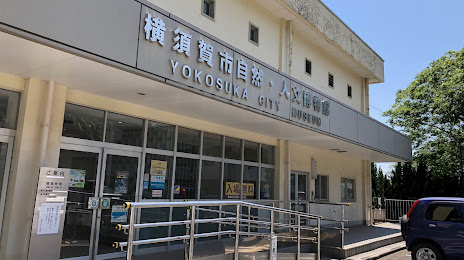 Yokosuka City Museum, 