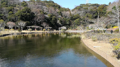 Yokosukashi Hikarinookamizube Park, 