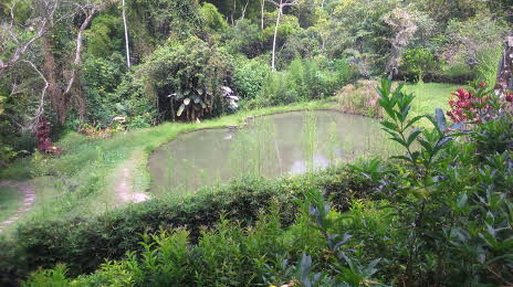 San Jorge Botanical Garden, Ibagué