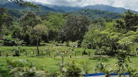 San Jorge - Oficina Botanical Garden, Ibagué