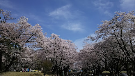 Sayama Inariyama Prefectural Park, 사야마 시