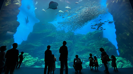 Sendai Umino-Mori Aquarium, Sendai