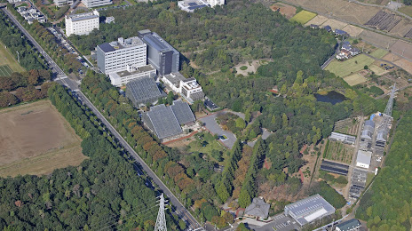 National Science Museum Tsukuba Botanical Garden, Τσουκούμπα