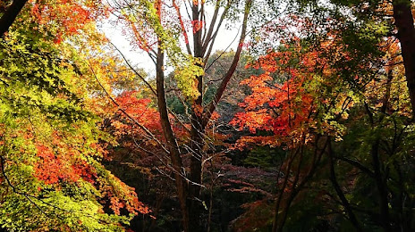 Utsunomiyashi Forest Park, Ουτσουνομίγια