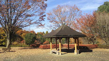 Nagaoka Park, 