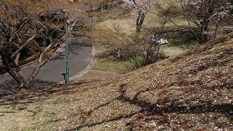 Ashikaga Park, 