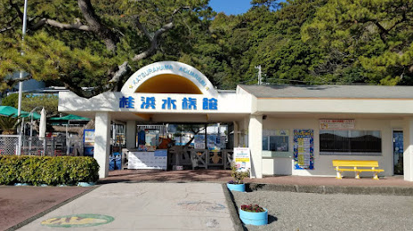 Katsurahama Aquarium, 고치 시