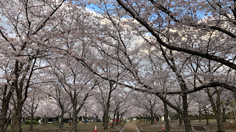 Sakuranomori Park, 