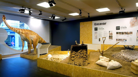 Museu de l'Institut Català de Paleontologia Miguel Crusafont, Sabadell