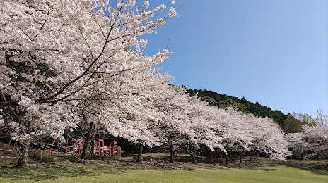 Matsuzakashi Forest Park, 
