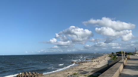 香良洲海岸, 