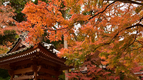 Daikozenji Temple, 
