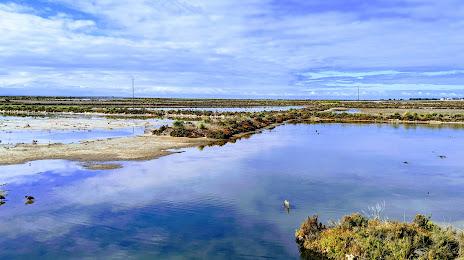 Cheetham Wetlands, Point Cook