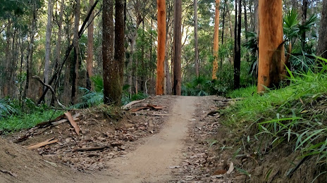 Wooroi Day Use Area, Tewantin