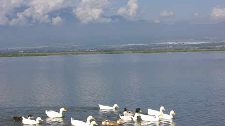 Laguna Zapotlan, Ciudad Guzmán