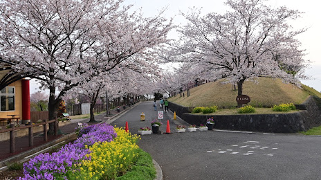 Sakuranoyama Park, 나리타 시