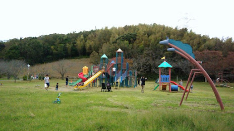 Sodegaura (Sodegaura) Park, 기사라즈 시