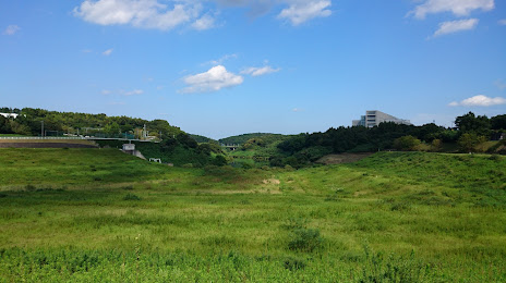 Yanagawa Dam, 