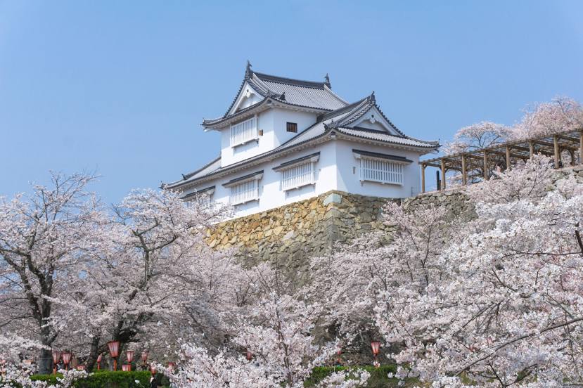 Tsuyama Castle, Tsuyama