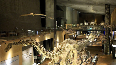 Kitakyushu Museum of Natural History & Human History, 기타큐슈 시