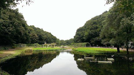 Omachi Park, 