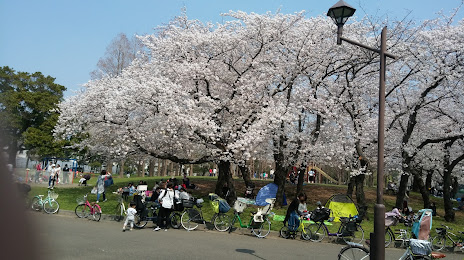 Shinozaki Park, 