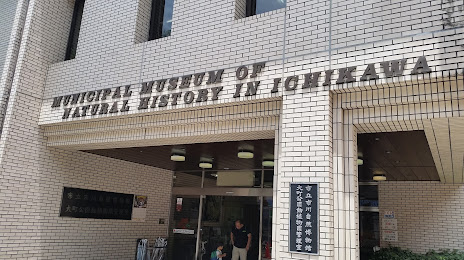 Municipal Museum of Natural History in Ichikawa, 