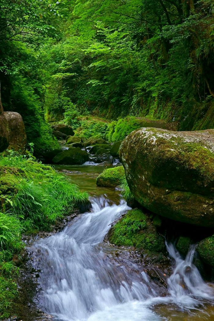 Kamagatani Valley, 