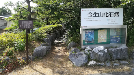 金生山化石館, 