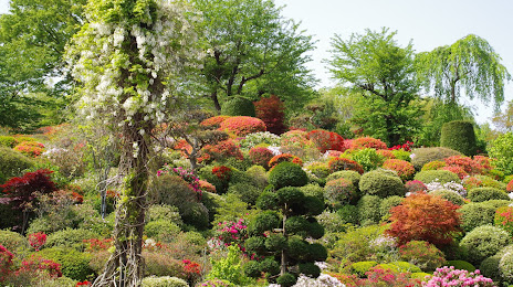 Ogawara Azalea Garden, 