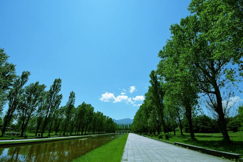 Maeda Forest Park, 