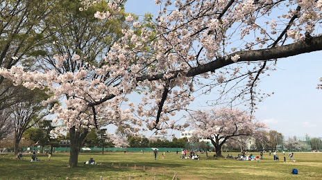 Musashino Central Park, 무사시노 시