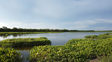 Reserva Natural Isla Las Damas, 