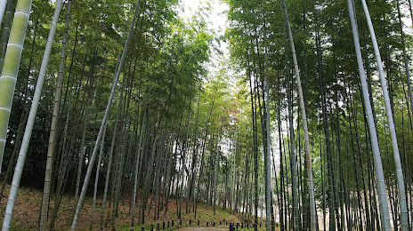 Aichi Prefecture Forest Park, 가스가이 시