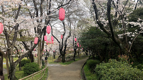 Oyama Ryokuchi Park, 다카하마 시