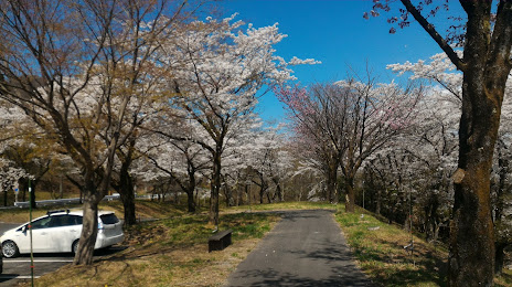 Shibukawashi Park, 