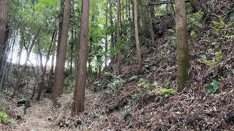 Site of Torinji Castle, 