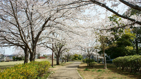 Takanodai Park, Yotsukaido